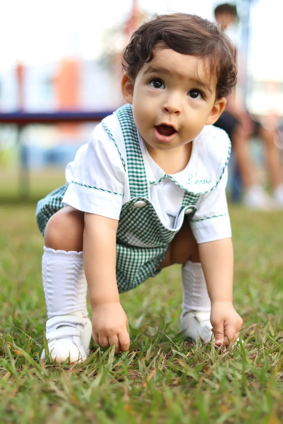 Bebê engatinhando na grama